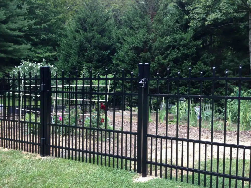 Puppy Picket IMG 1682 British Standard Fence