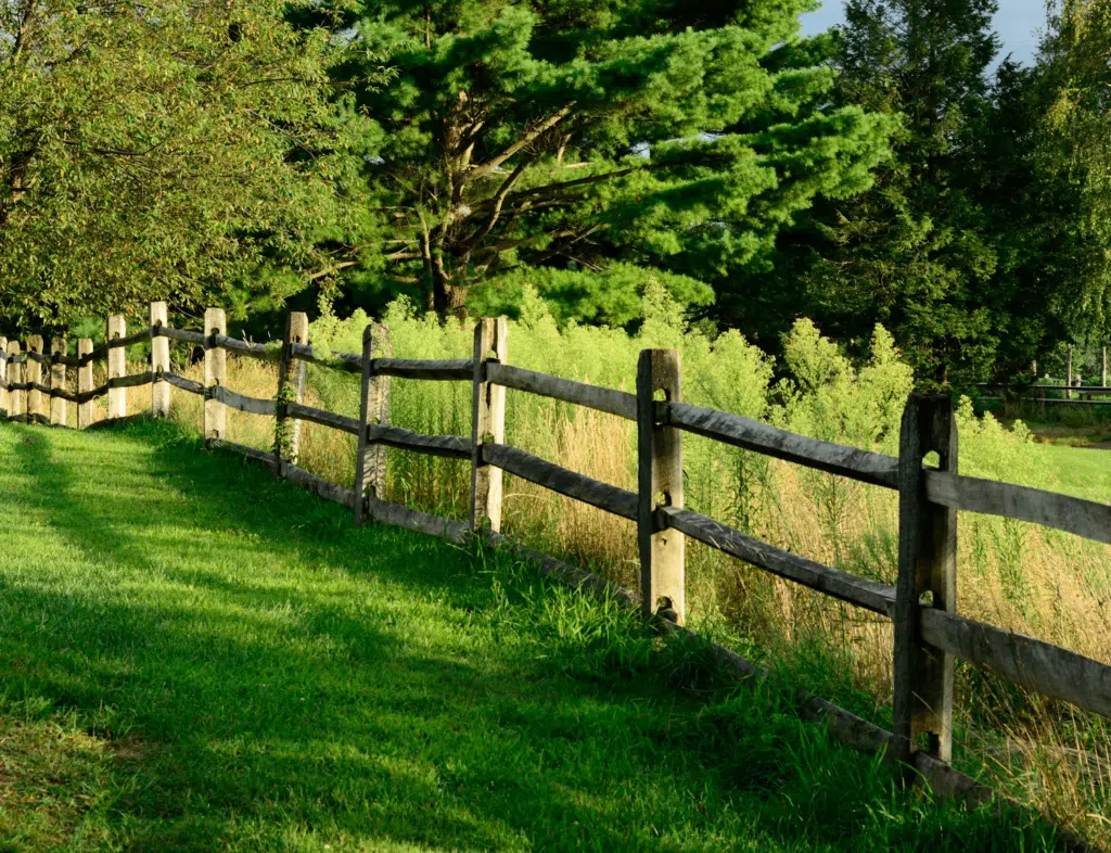 A Guide to Selecting the Right Fence for Your Home: Tips and Advice Right Fence Split Rail British Standard Fence